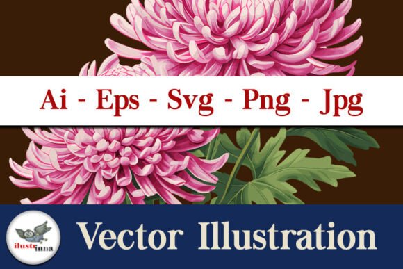 Pink Chrysanthemum Floral Graphic for Modern Graphics and Illustrations